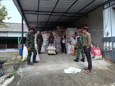 Sinergi Kawal Ketahanan Pangan, BULOG Serap Gabah Petani Segoroyoso di Tengah Tantangan Iklim